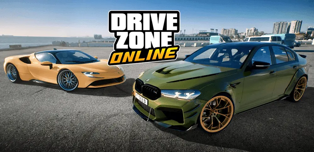 DRIVE ZONE ONLINE FOOTER IMAGE